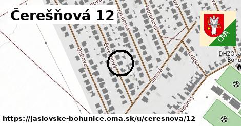 Čerešňová 12, Jaslovské Bohunice