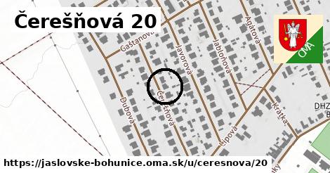 Čerešňová 20, Jaslovské Bohunice