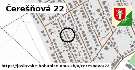 Čerešňová 22, Jaslovské Bohunice