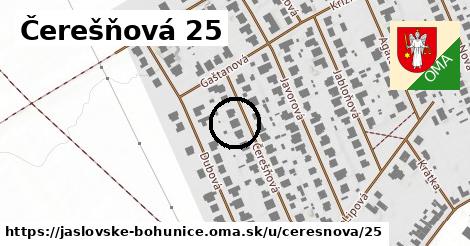 Čerešňová 25, Jaslovské Bohunice