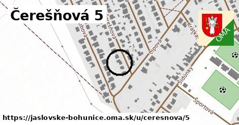 Čerešňová 5, Jaslovské Bohunice