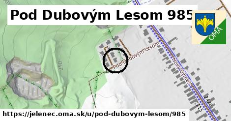 Pod Dubovým Lesom 985, Jelenec