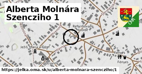 Alberta Molnára Szencziho 1, Jelka