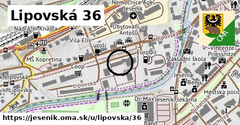 Lipovská 36, Jeseník