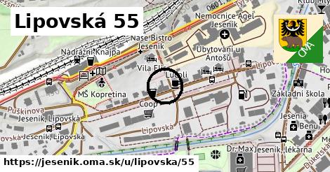 Lipovská 55, Jeseník