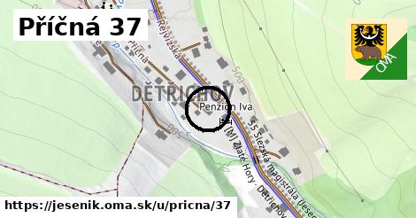 Příčná 37, Jeseník