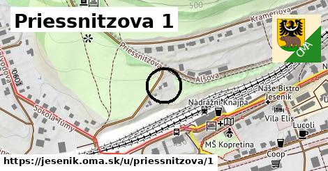 Priessnitzova 1, Jeseník