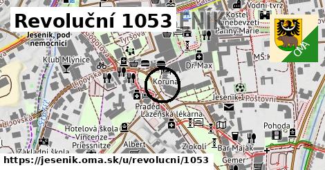 Revoluční 1053, Jeseník