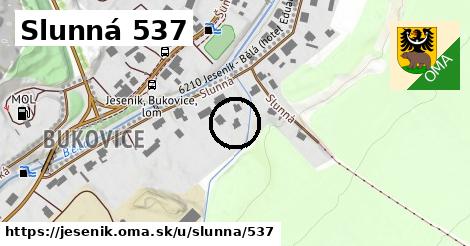 Slunná 537, Jeseník