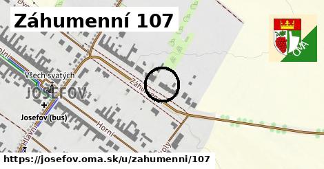 Záhumenní 107, Josefov