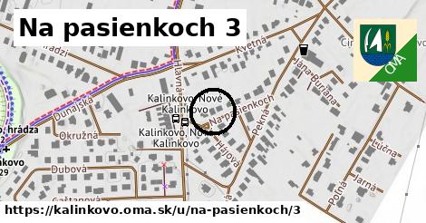 Na pasienkoch 3, Kalinkovo