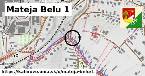 Mateja Belu 1, Kalinovo