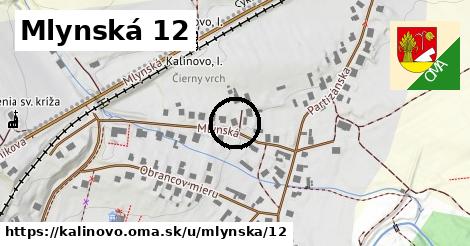 Mlynská 12, Kalinovo