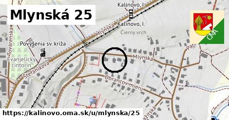 Mlynská 25, Kalinovo
