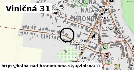 Viničná 31, Kalná nad Hronom