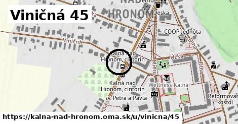 Viničná 45, Kalná nad Hronom