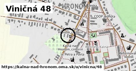 Viničná 48, Kalná nad Hronom