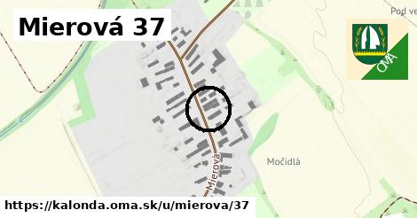 Mierová 37, Kalonda