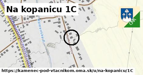 Na kopanicu 1C, Kamenec pod Vtáčnikom