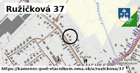 Ružičková 37, Kamenec pod Vtáčnikom