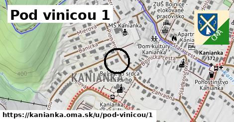 Pod vinicou 1, Kanianka