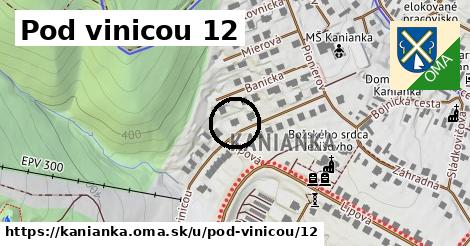 Pod vinicou 12, Kanianka