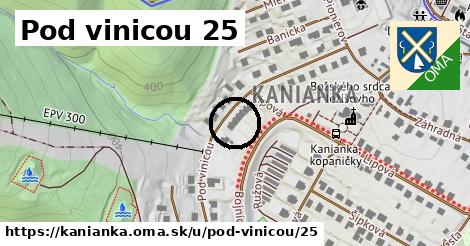 Pod vinicou 25, Kanianka
