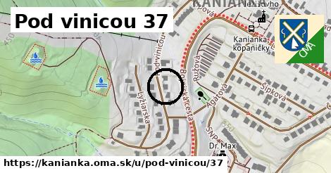 Pod vinicou 37, Kanianka