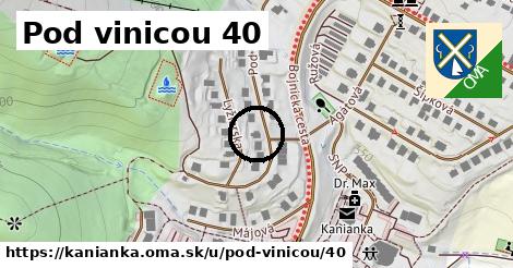 Pod vinicou 40, Kanianka