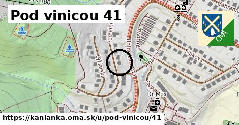 Pod vinicou 41, Kanianka