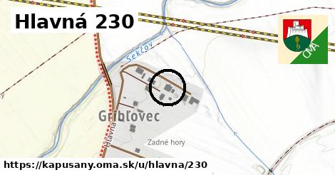 Hlavná 230, Kapušany