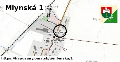 Mlynská 1, Kapušany