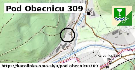 Pod Obecnicu 309, Karolinka