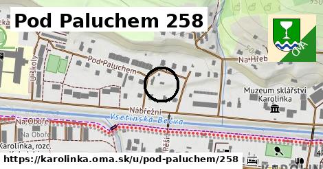 Pod Paluchem 258, Karolinka