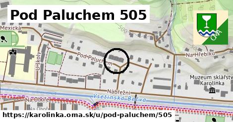 Pod Paluchem 505, Karolinka