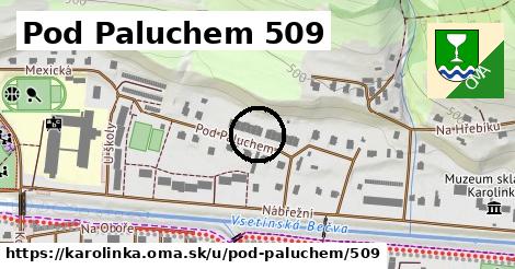 Pod Paluchem 509, Karolinka