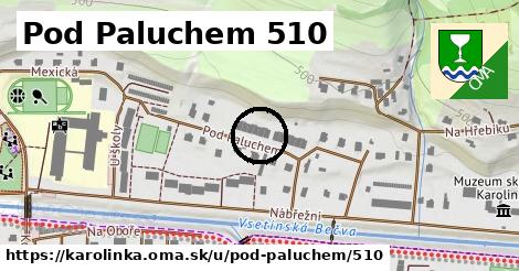 Pod Paluchem 510, Karolinka