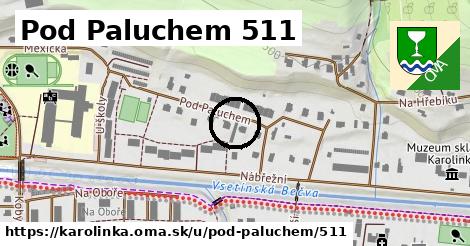 Pod Paluchem 511, Karolinka