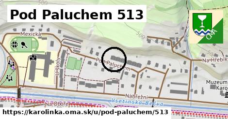 Pod Paluchem 513, Karolinka