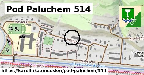 Pod Paluchem 514, Karolinka