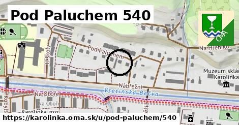 Pod Paluchem 540, Karolinka