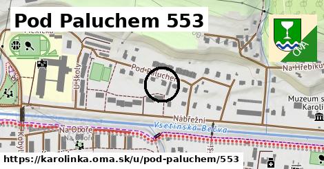 Pod Paluchem 553, Karolinka