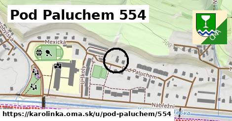 Pod Paluchem 554, Karolinka