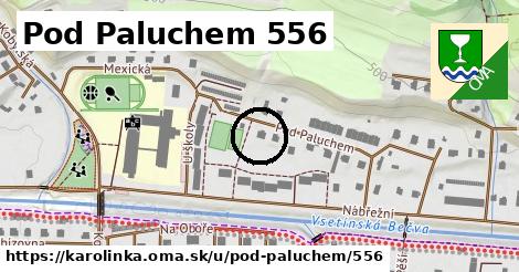 Pod Paluchem 556, Karolinka