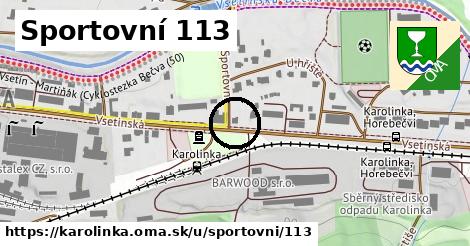 Sportovní 113, Karolinka