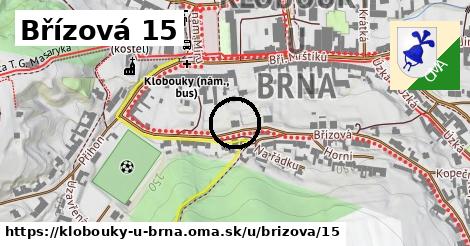 Břízová 15, Klobouky u Brna