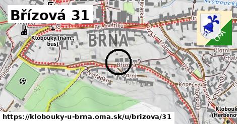 Břízová 31, Klobouky u Brna