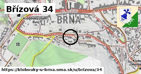 Břízová 34, Klobouky u Brna