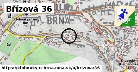 Břízová 36, Klobouky u Brna