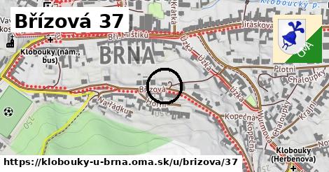 Břízová 37, Klobouky u Brna